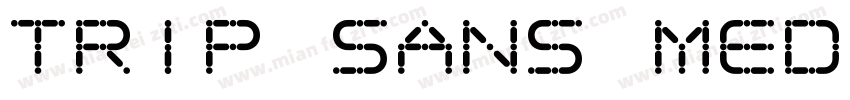 Trip Sans Medium字体转换